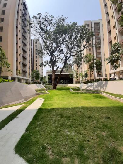 Eternis Main Image 1