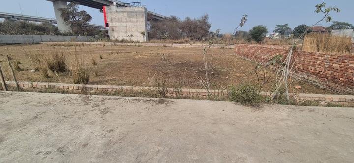 Anora Kala Main Image 1