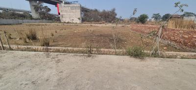 Anora Kala Plot View 1