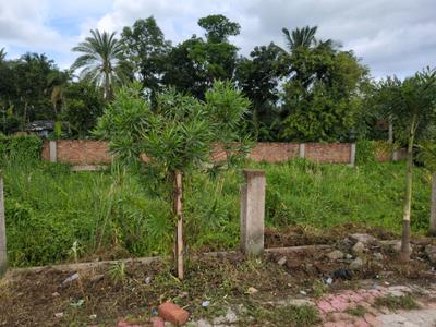 Nest Valley Plot View 2