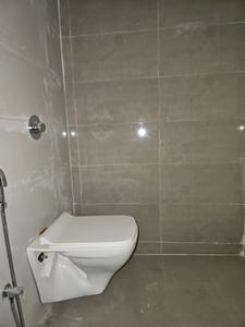 Common Bathroom Image of 750 Sq.ft 2 BHK Apartment / Flat for rent in Dreams Lynnea A B Wings, Wagholi Pune for Rs. 16000