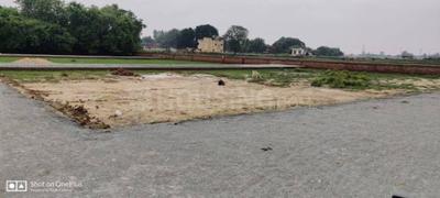 Jalil Pur Plot View 1