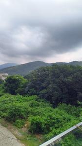 Image of 4400 Sq.ft 6 BHK Independent House for sale in Sahastradhara Road, Dehradun for Rs. 29500000