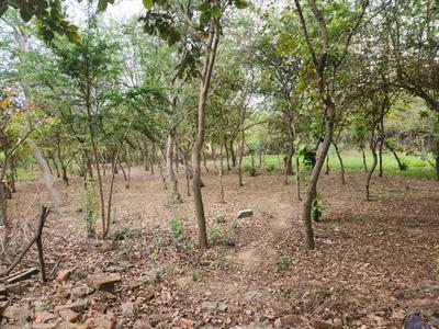 Images without DQ approval