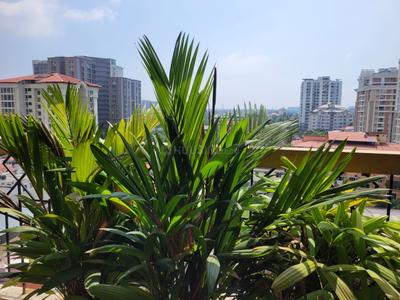 Image of 4600 Sq.ft 5 BHK Duplex for sale in Panampilly Nagar, Kochi for Rs. 30000000