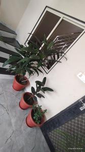 Balcony Image of 2007 Sq.ft 3 BHK Independent House for sale in Dhabli Indore for Rs. 7000000