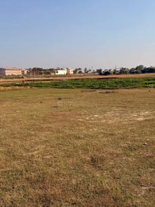 Image of 1500 Sq.ft Residential Plot / Land for sale in Maniram, Gorakhpur for Rs. 1051500