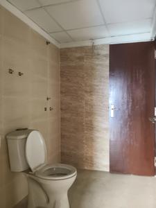 Common Bathroom Image of 1400 Sq.ft 3 BHK Apartment / Flat for sale in Terrace Homes, Noida Extension Greater Noida for Rs. 10450000
