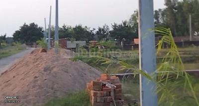Ghasyari Mandi Plot View 2