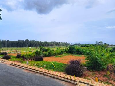 Image of 6000 Sq.ft Residential Plot / Land for sale in Tharabanahalli, Bengaluru for Rs. 24000000