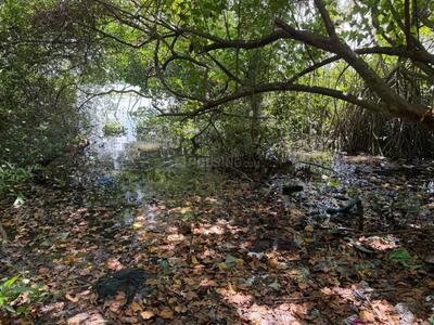 Image of 2177 Sq.ft Residential Plot / Land for sale in Panangad, Kochi for Rs. 3000000