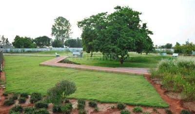 PC Parklane Plot View 3