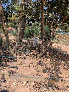 Image of 12000 Sq.ft Residential Plot / Land for sale in Devanahalli, Bengaluru for Rs. 96000000