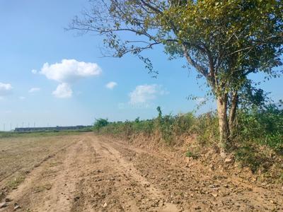 Image of 1800 Sq.ft Residential Plot / Land for sale in Bhauwala, Dehradun for Rs. 5000000