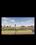 Patligram developers  Plot View 2
