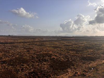 Landcore Developers plot in Vindhane Plot View 2