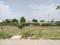 Sector 98 Plot View 1