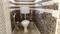 Hanapara, Keshtopur Bathroom 1