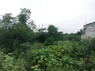 Image of 285 Sq.ft Residential Plot / Land for sale in Sector 78, Faridabad for Rs. 44000000