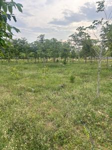 Image of 111 Sq.ft Residential Plot / Land for sale in Kothavalasa, Visakhapatnam for Rs. 666000
