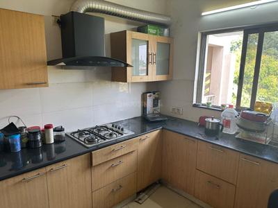 Kitchen Image of 1561 Sq.ft 3 BHK Apartment / Flat for rent in Peninsula Ashok Astoria Villas, Gangapur Nashik for Rs. 45000
