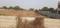Vakratunda Main Image 1