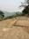 Brahmanwala Plot View 2