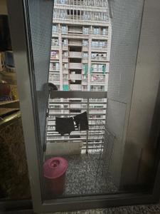 Balcony Image of 1044 Sq.ft 2 BHK Apartment / Flat for sale in Anand Ilyf, Vaishno Devi Circle Ahmedabad for Rs. 5800000