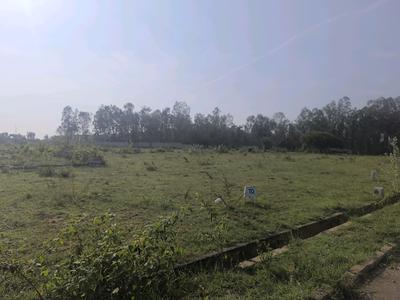 Image of 1500 Sq.ft Residential Plot / Land for sale in Hoskote, Bengaluru for Rs. 4275000