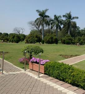 Image of 4500 Sq.ft Residential Plot / Land for sale in Sector-6, Bahadurgarh for Rs. 46500000