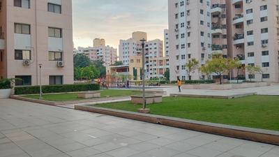Image of Cosmos in Magarpatta City, Pune