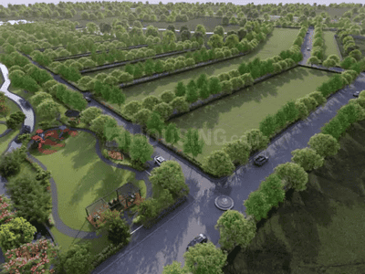 Assets palmscape Plot View 2