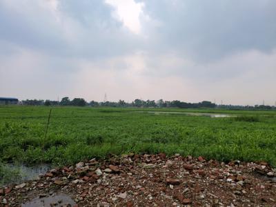 Nest Valley Plot View 2