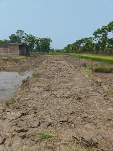 Sonarpur Plot View 3