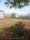 sanjay bunglow Plot View 2