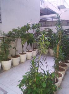 Balcony Image of 4500 Sq.ft 10 BHK Independent House for sale in Sector 14 Gurgaon for Rs. 81500000