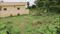 Gayatri Nagar Colony Plot View 2