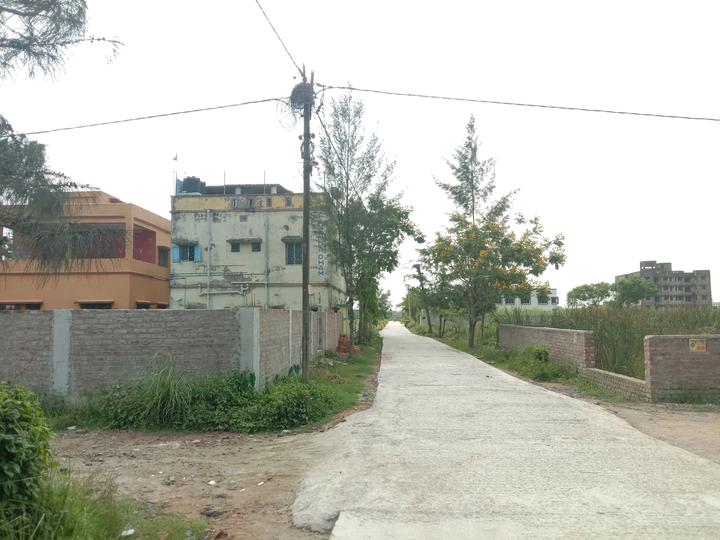 Apparent JB Garden Main Image 1