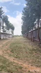 Image of 53240 Sq.ft Residential Plot / Land for sale in Aroodi, Bengaluru for Rs. 120000000