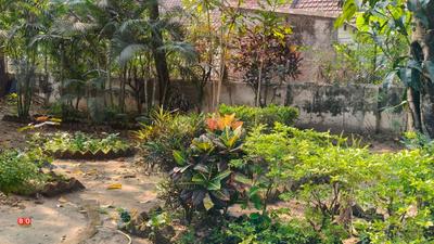 Image of 2400 Sq.ft 4 BHK Independent House for sale in Ratan Pally, Bolpur-Santiniketan for Rs. 15000000