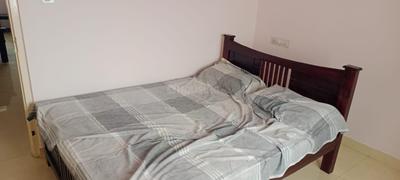 Bedroom Image of 1200 Sq.ft 2 BHK Apartment / Flat for rent in Kankanady Mangalore for Rs. 22000