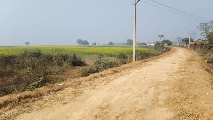 Maner Main Image 1