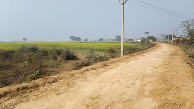 Maner Plot View 1