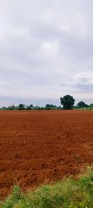 Image of 43560 Sq.ft Residential Plot / Land for sale in Mangalpally, Ranga Reddy for Rs. 9000000