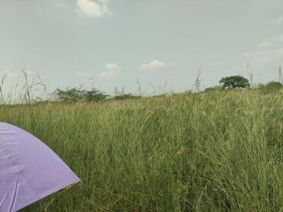 Image of 3280 Sq.ft Residential Plot / Land for sale in Tambaram, Chennai for Rs. 6560000