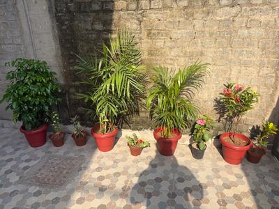 Balcony Image of Sunita homes in Ashok Nagar Sector-2, Dhanbad