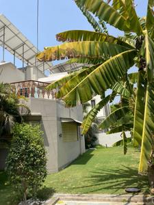 Image of 2630 Sq.ft 3 BHK Independent House for sale in Bopal, Ahmedabad for Rs. 31000000