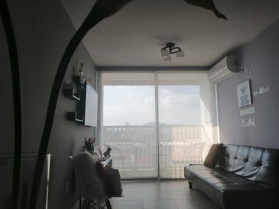 Hall Image of 2600 Sq.ft 4 BHK Apartment / Flat for sale in Rustomjee Elita, Andheri West Mumbai for Rs. 95763700