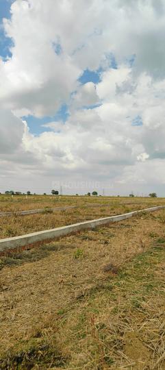 BARSANE city Plot View 1
