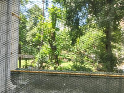 Image of 1050 Sq.ft 2 BHK Apartment / Flat for sale in Rustomjee Yazarina, Dadar East, Mumbai for Rs. 49000000